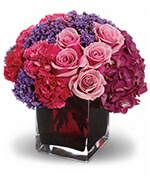 Teleflora's Enchanted Journey